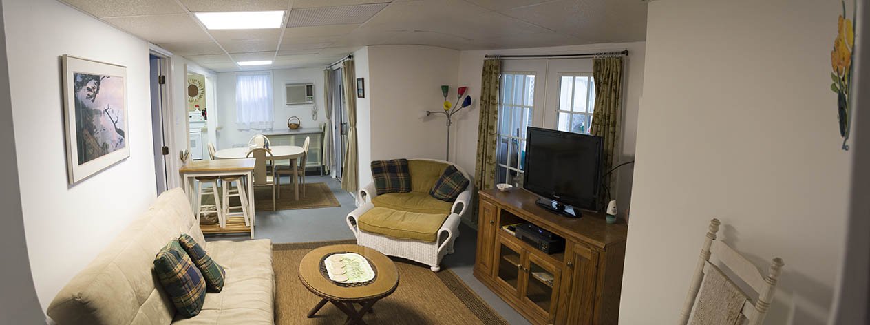 Primary Living Room